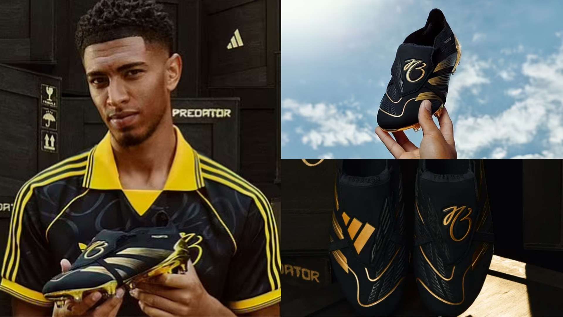 本澤馬不背 本澤馬不背