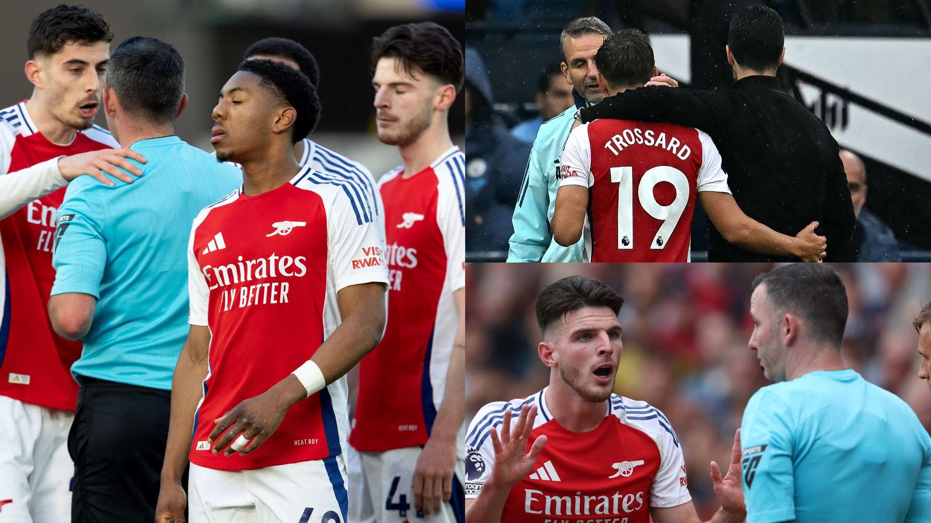 供專業指導 供專業指導