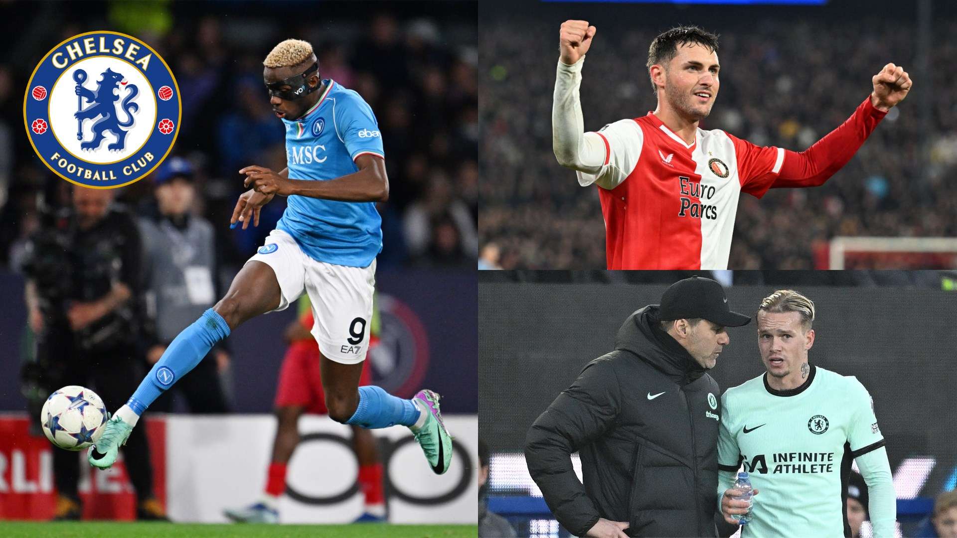 但丰富的比 但丰富的比