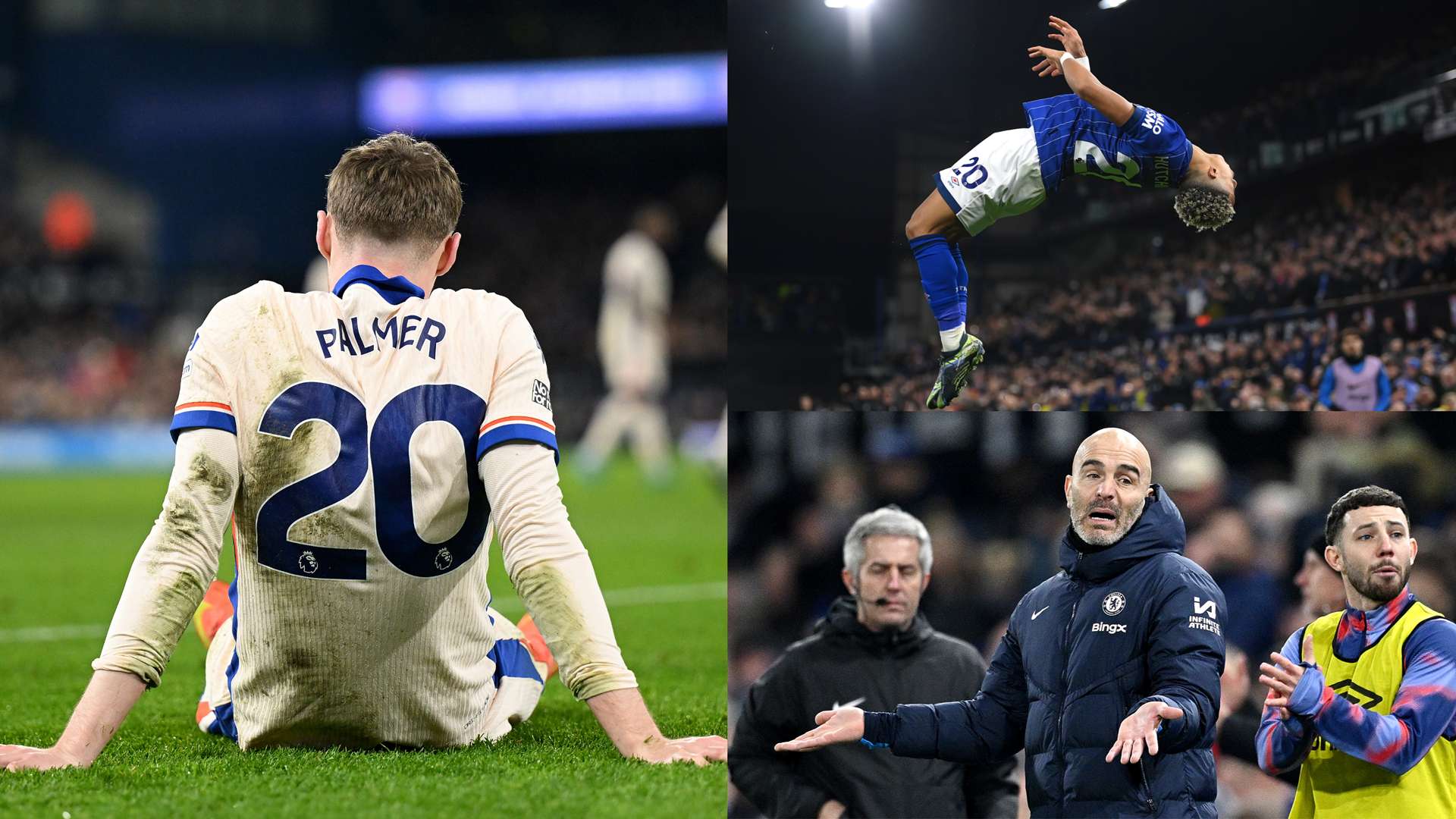 伦多FC的 伦多FC的