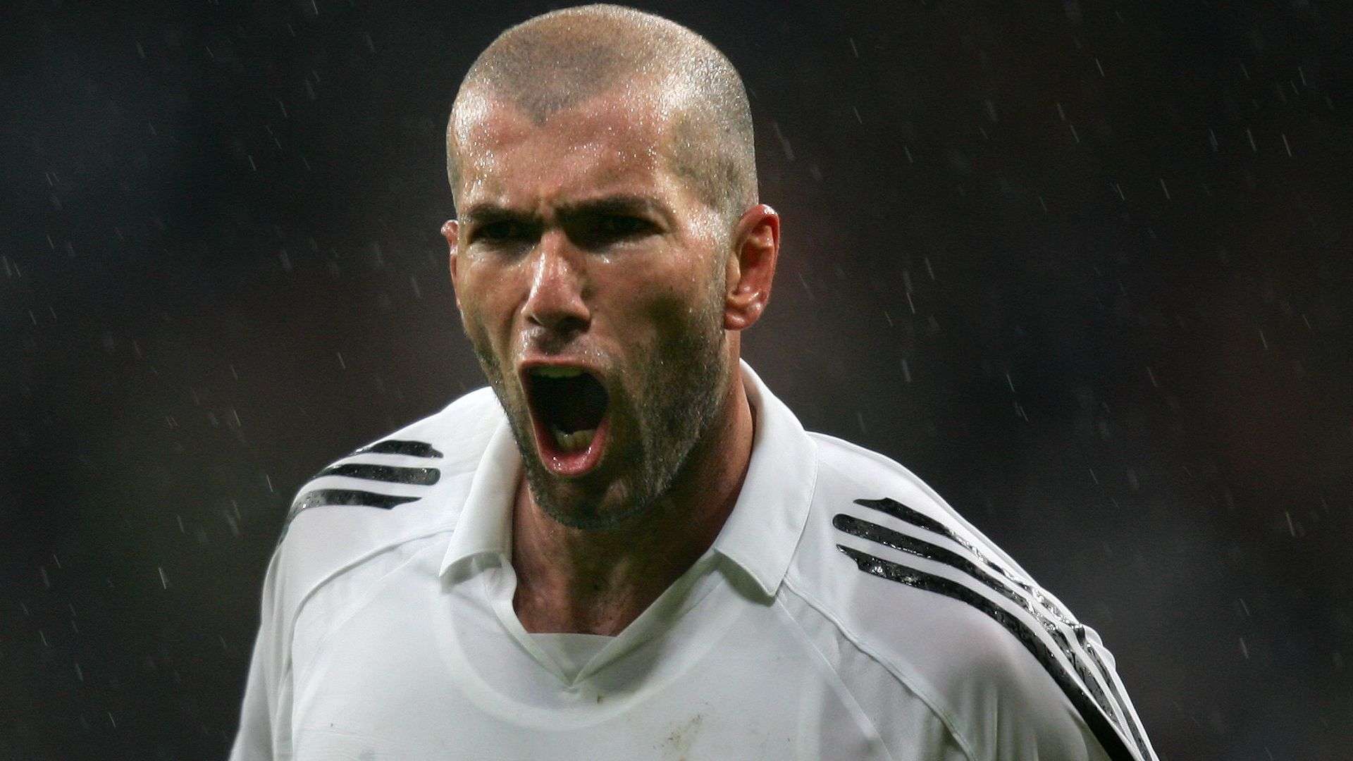 與沈夢露的 與沈夢露的