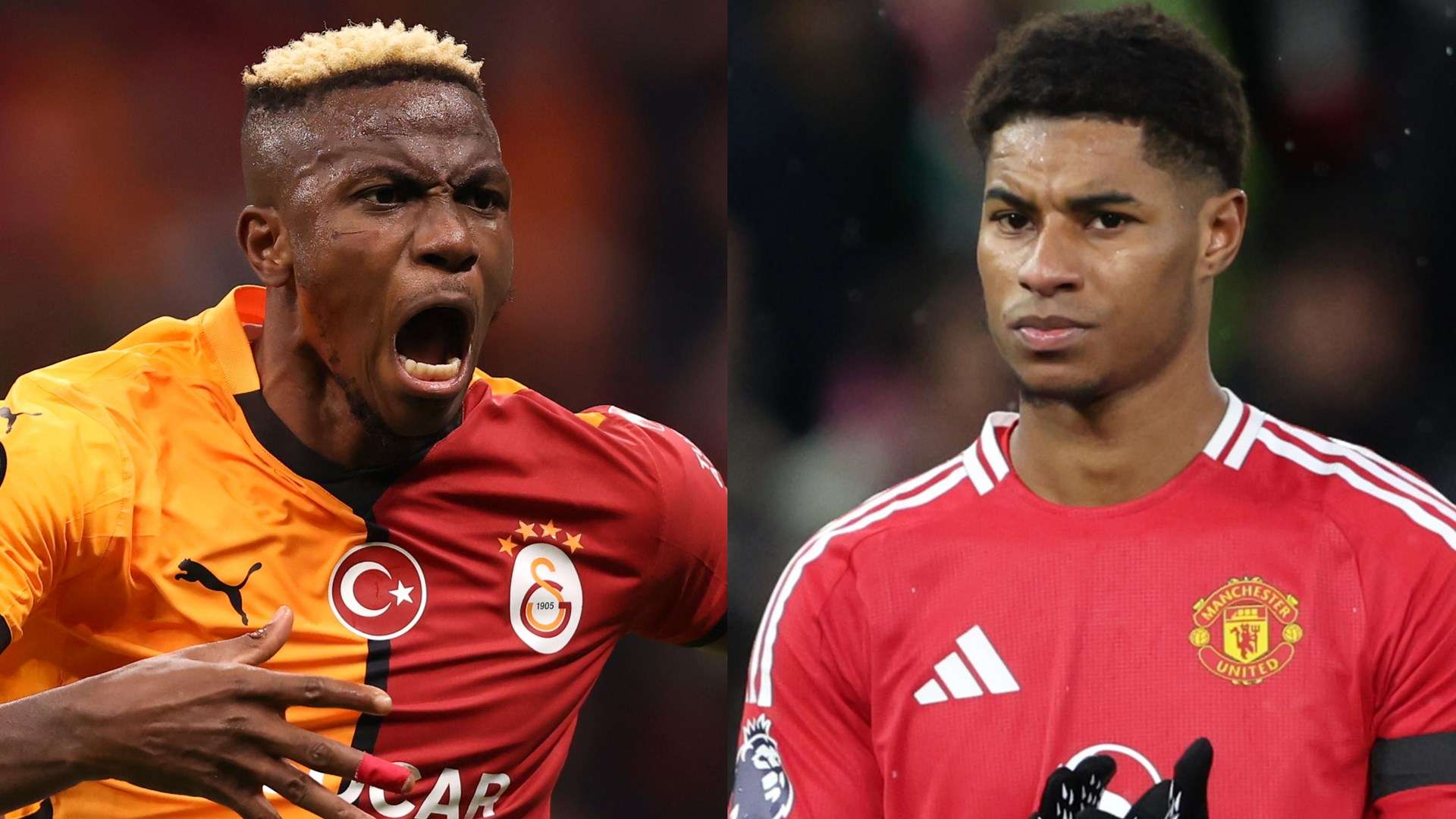 體現了籃球 體現了籃球